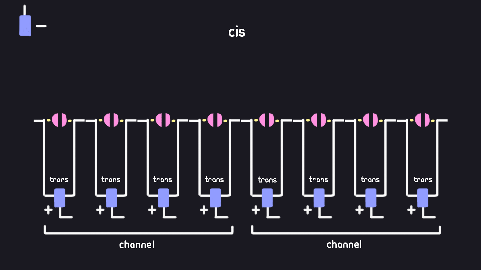 nanopore setup wells