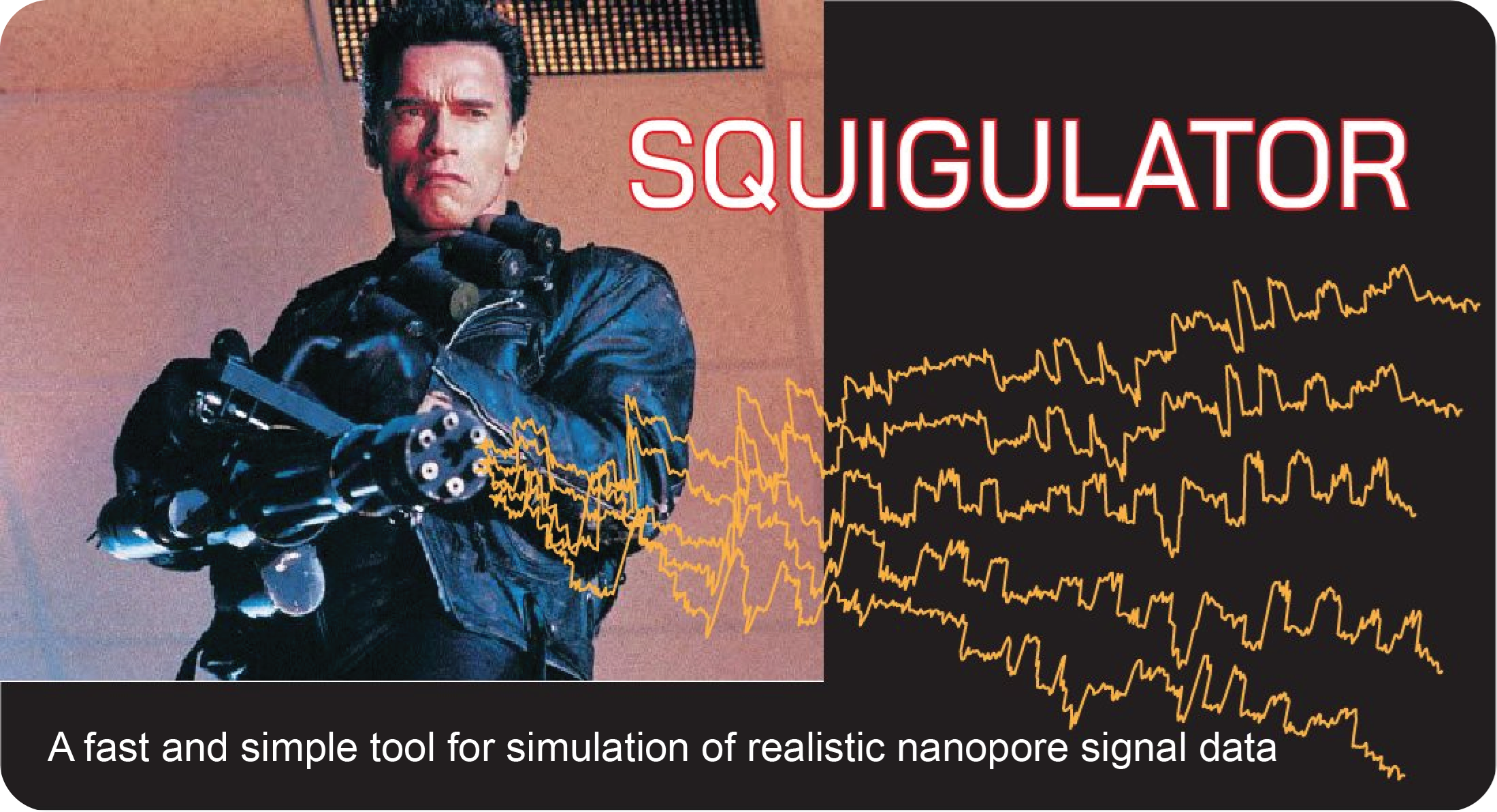 squigulator